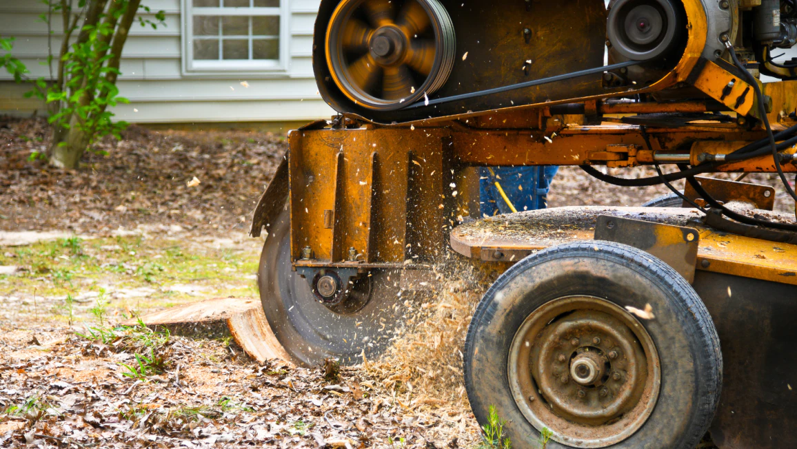 Stump Grinding Services (1) Stump Grinding Services (1)