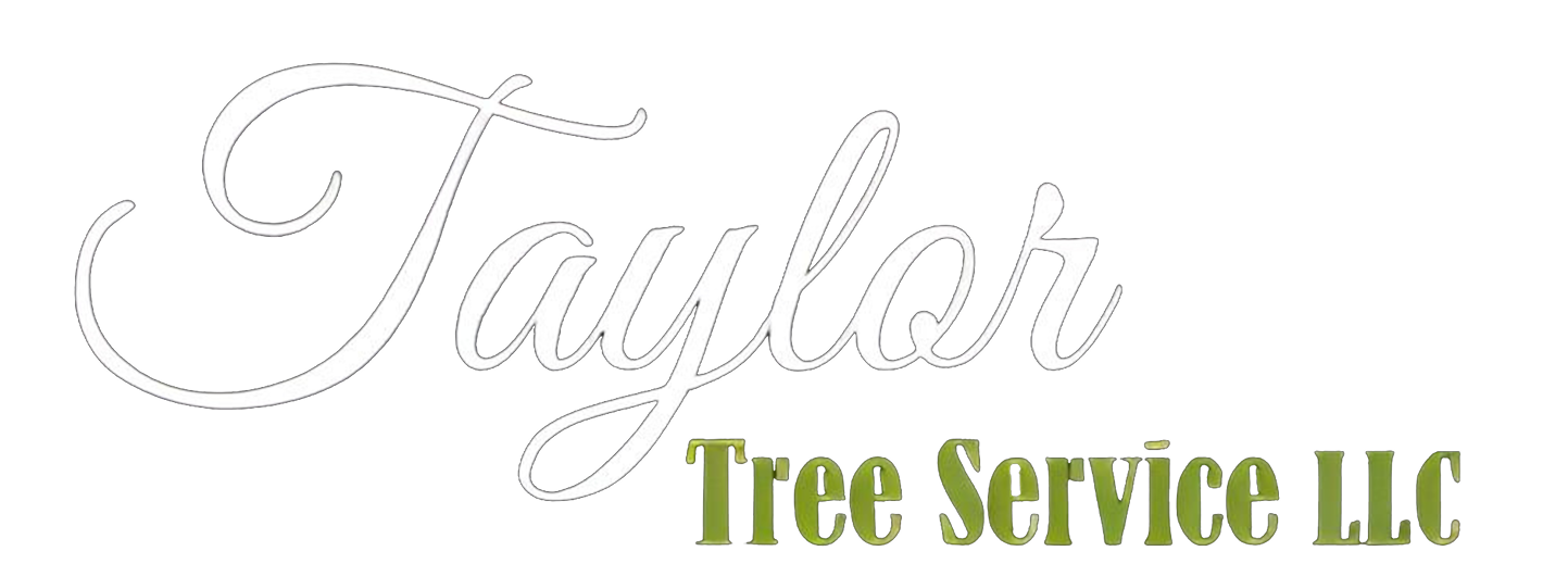 Taylor Tree Service LLC Cedar Creek, TX